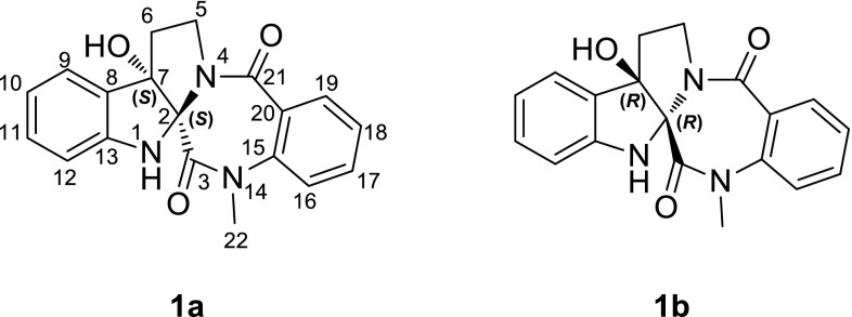 Fig. 2