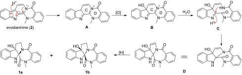 Scheme 1