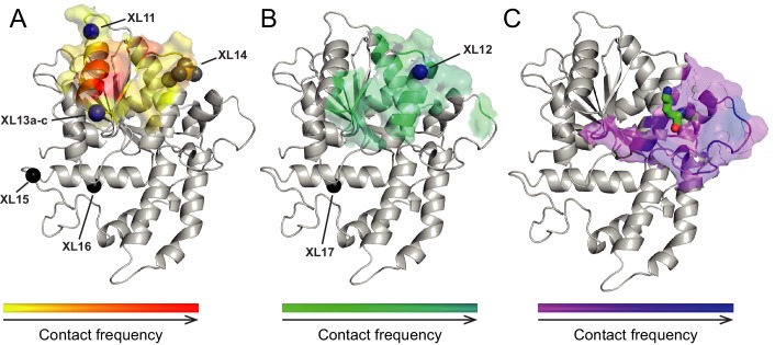 Figure 5—figure supplement 3.