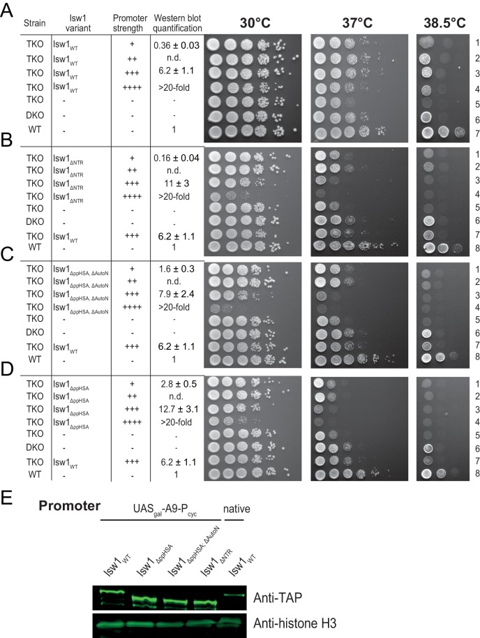 Figure 2—figure supplement 1.