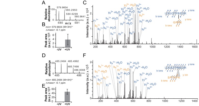 Figure 4—figure supplement 2.