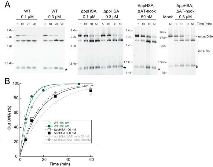 Figure 3—figure supplement 3.