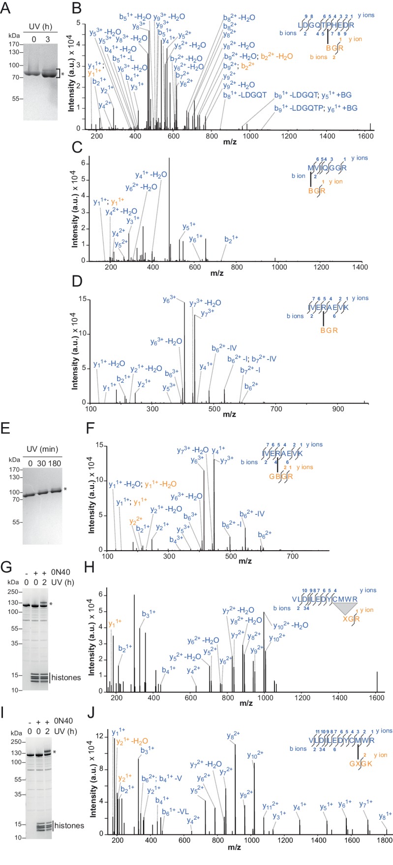 Figure 5—figure supplement 1.