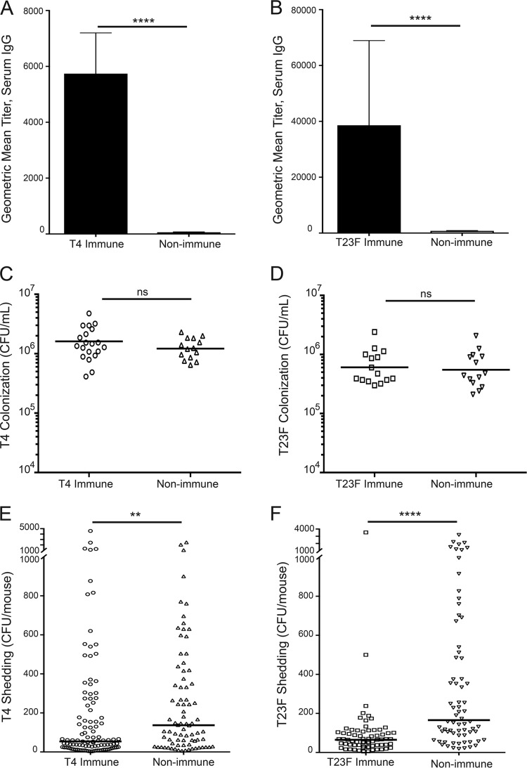 FIG 1 