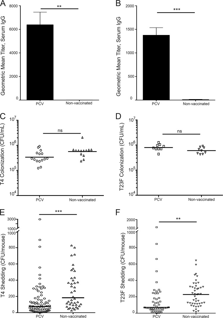 FIG 2 