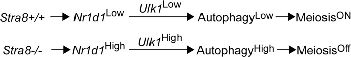 Fig 11