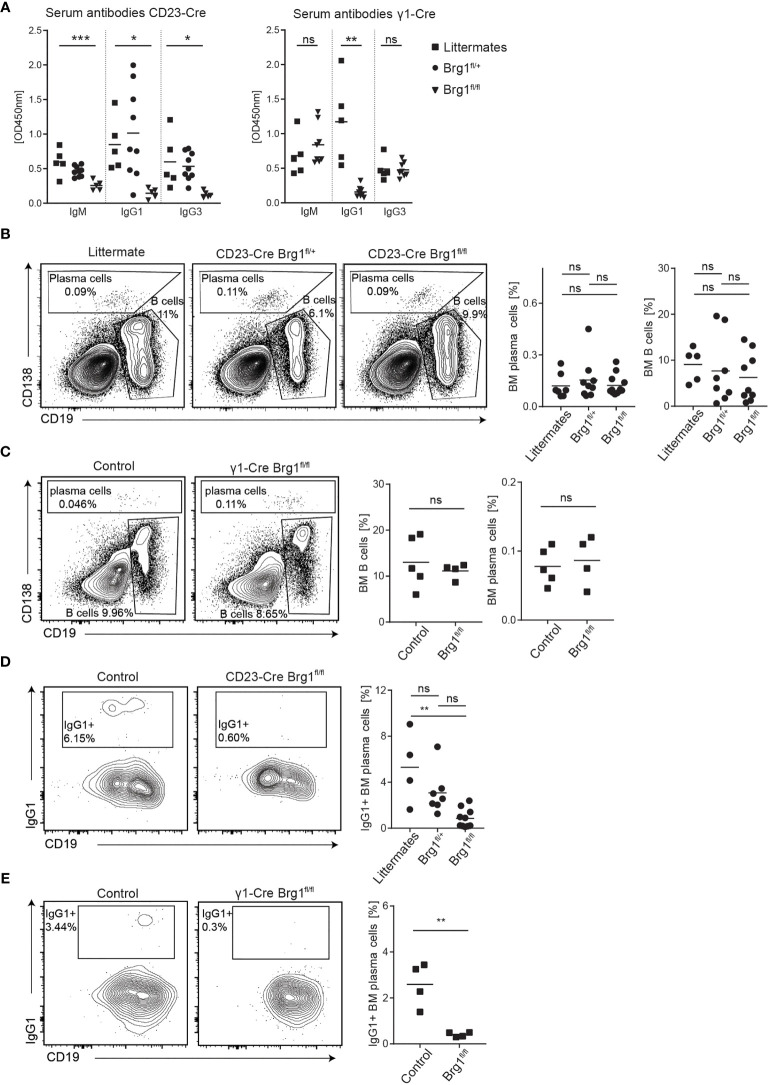 Figure 3