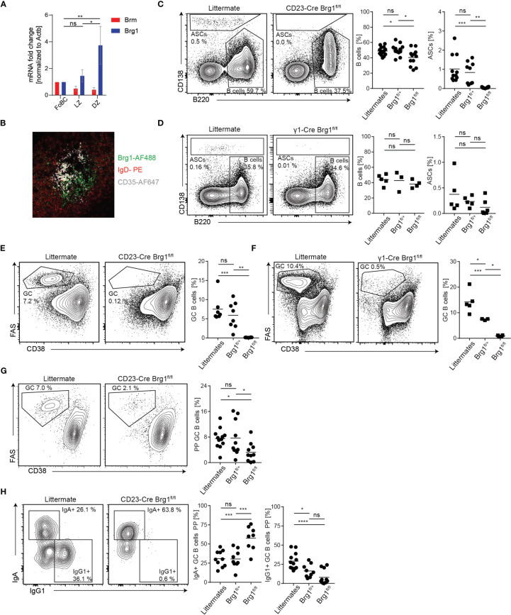 Figure 4