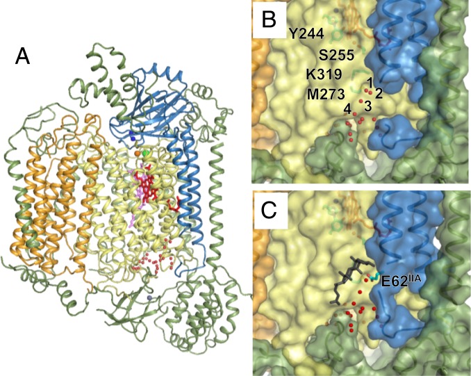 Fig. 3.