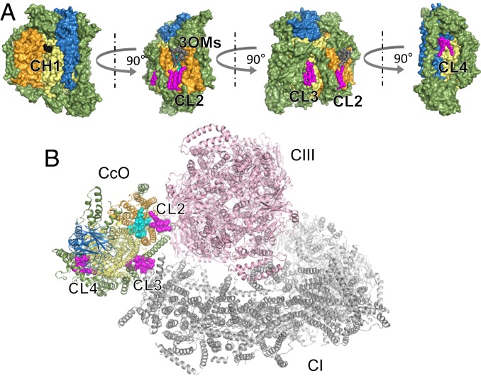 Fig. 4.