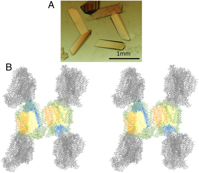 Fig. 2.