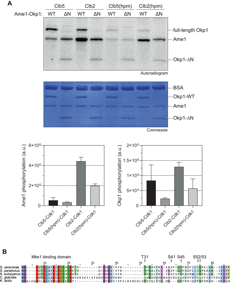 Figure 1—figure supplement 1.