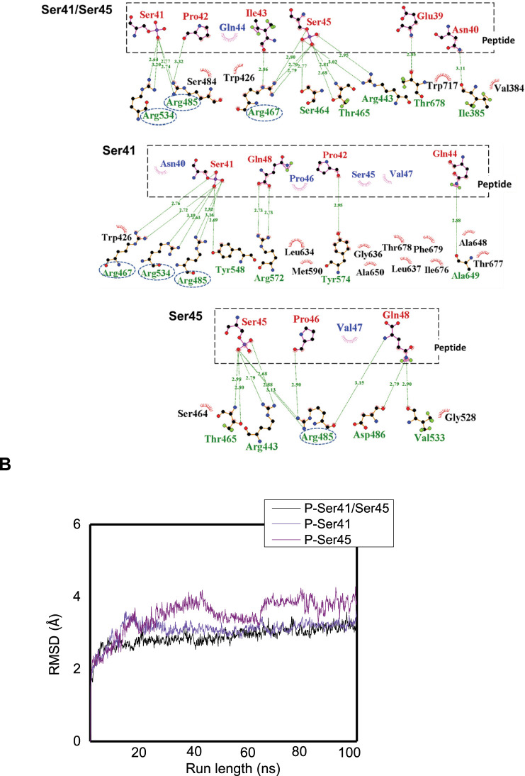 Figure 3—figure supplement 1.