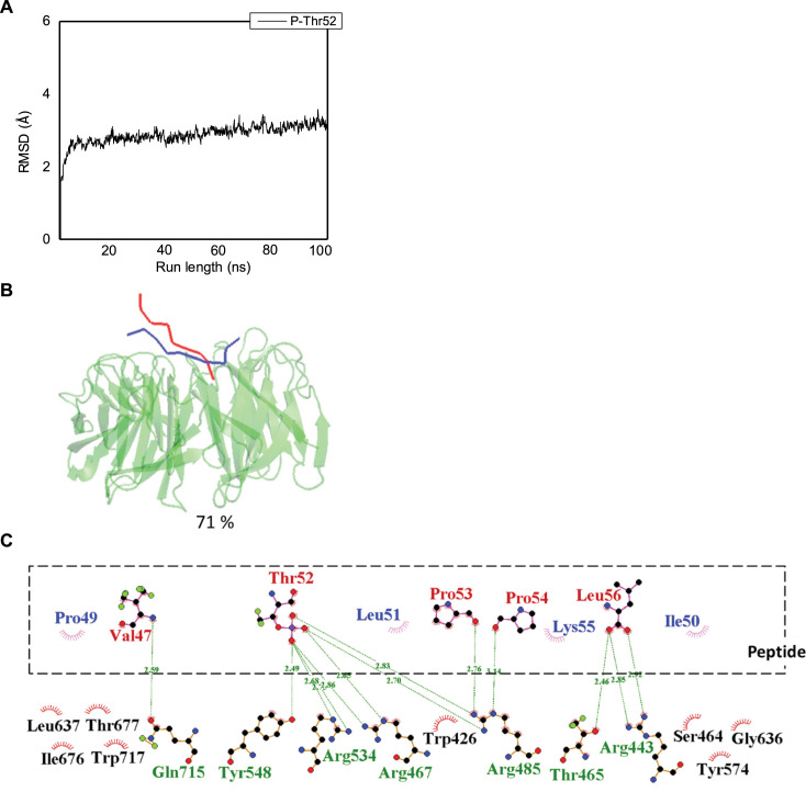 Figure 5—figure supplement 1.