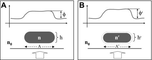 Fig. 1.