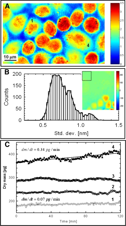 Fig. 4.