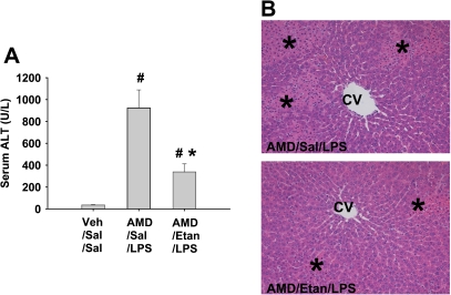 FIG. 9.