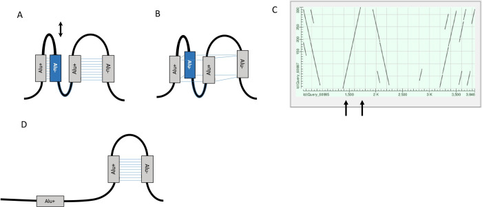 Fig 8