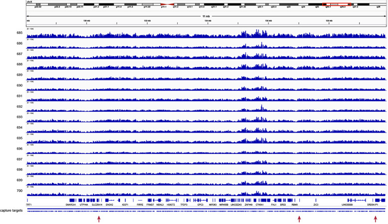 Fig 3