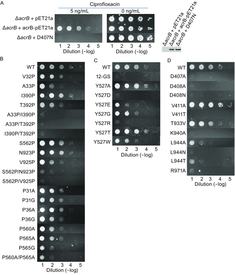 Figure 2