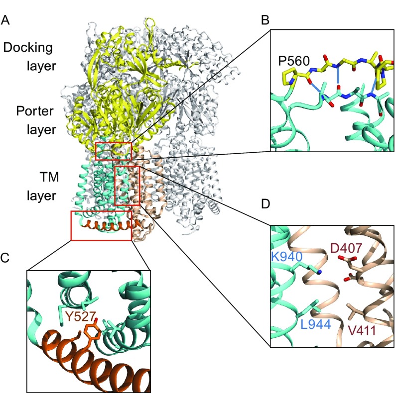 Figure 1