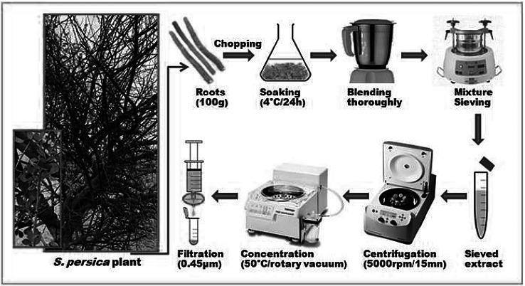 Fig. 1