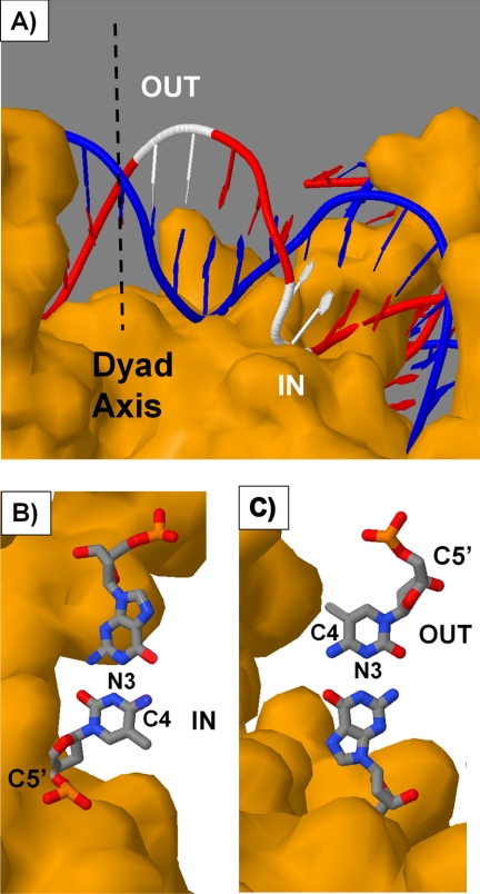 FIGURE 5.