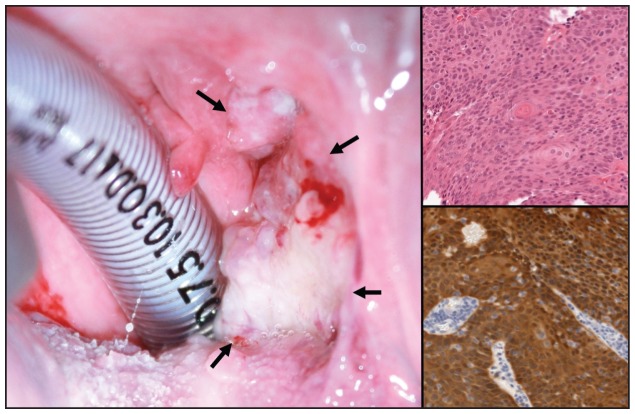 Figure 1: