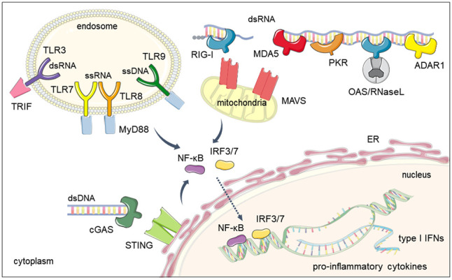 FIGURE 2.