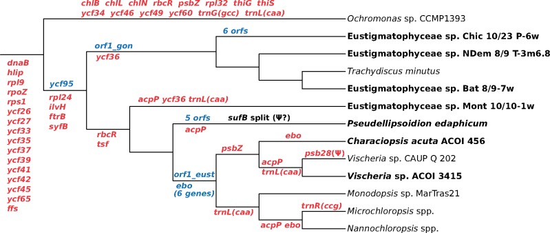 Fig. 2.