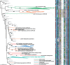 <sc>Fig</sc>. 5.