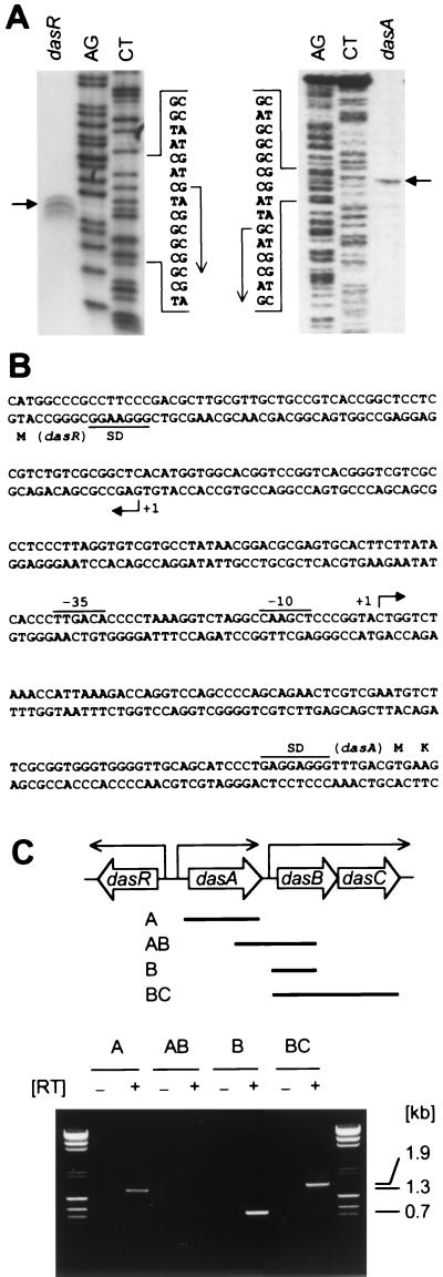 FIG. 8.