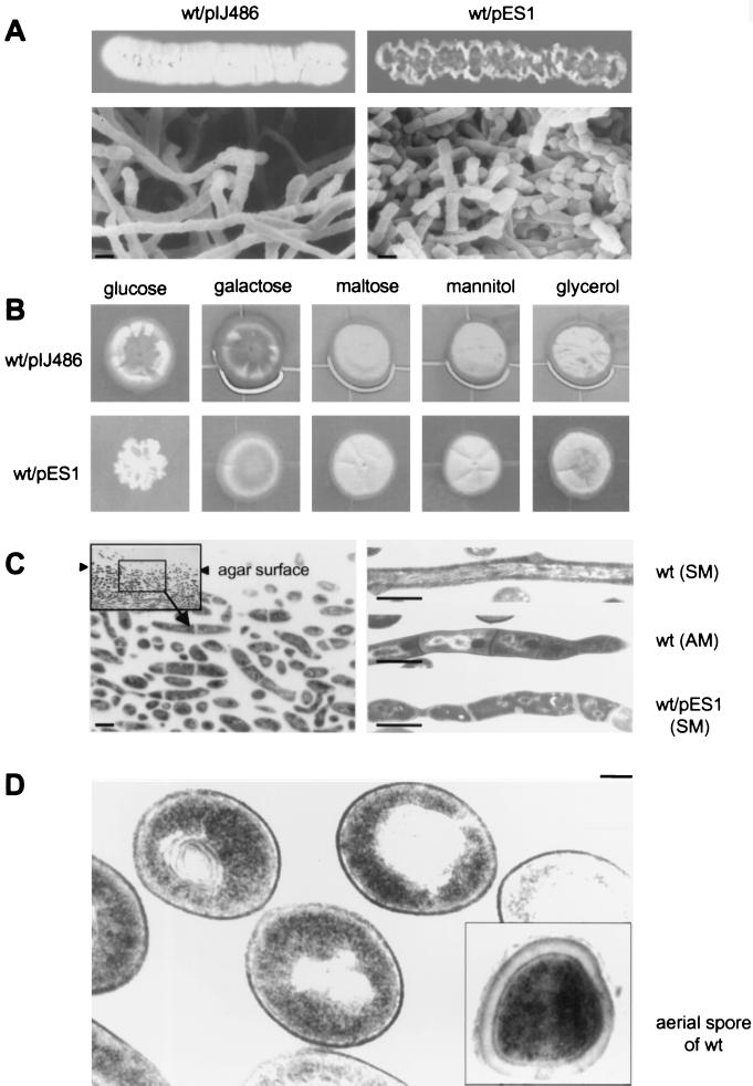 FIG. 6.