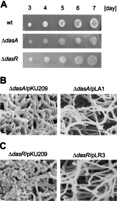 FIG. 7.