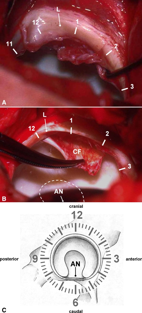 Fig. 1A−C