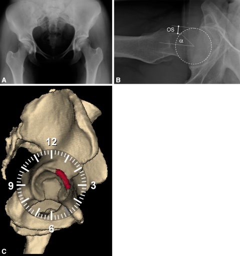 Fig. 2A−C