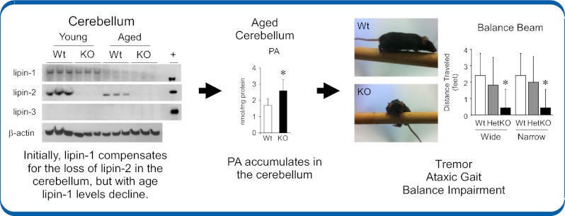 Fig. P1.