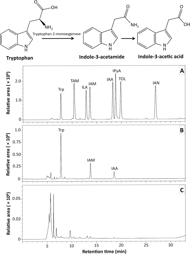 Fig 4