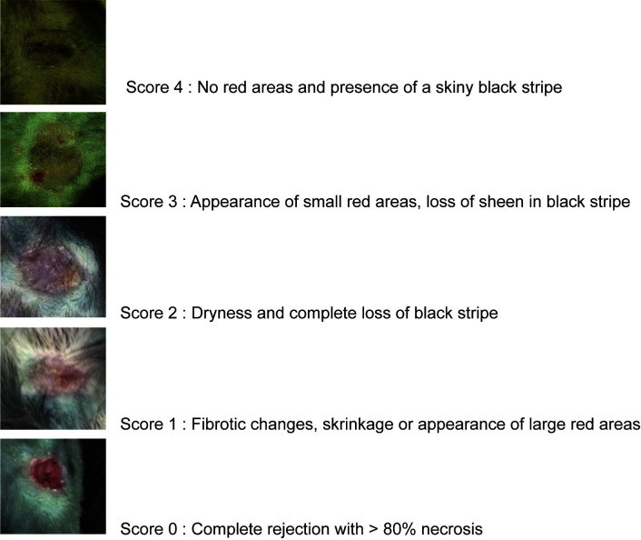 Figure 5.