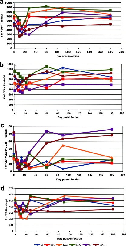 FIG. 2.