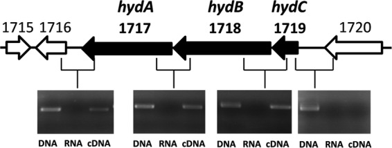 Fig 5