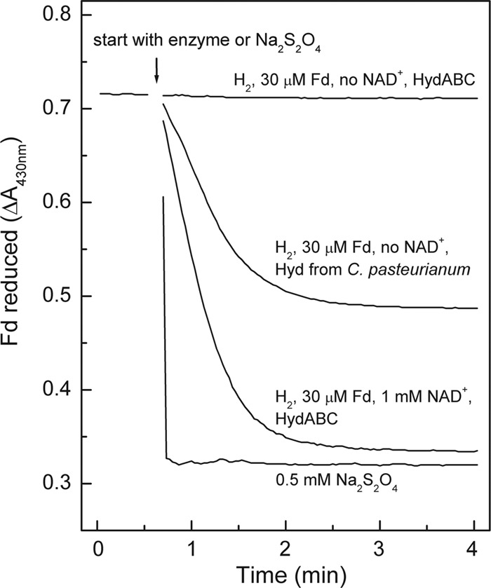 Fig 4