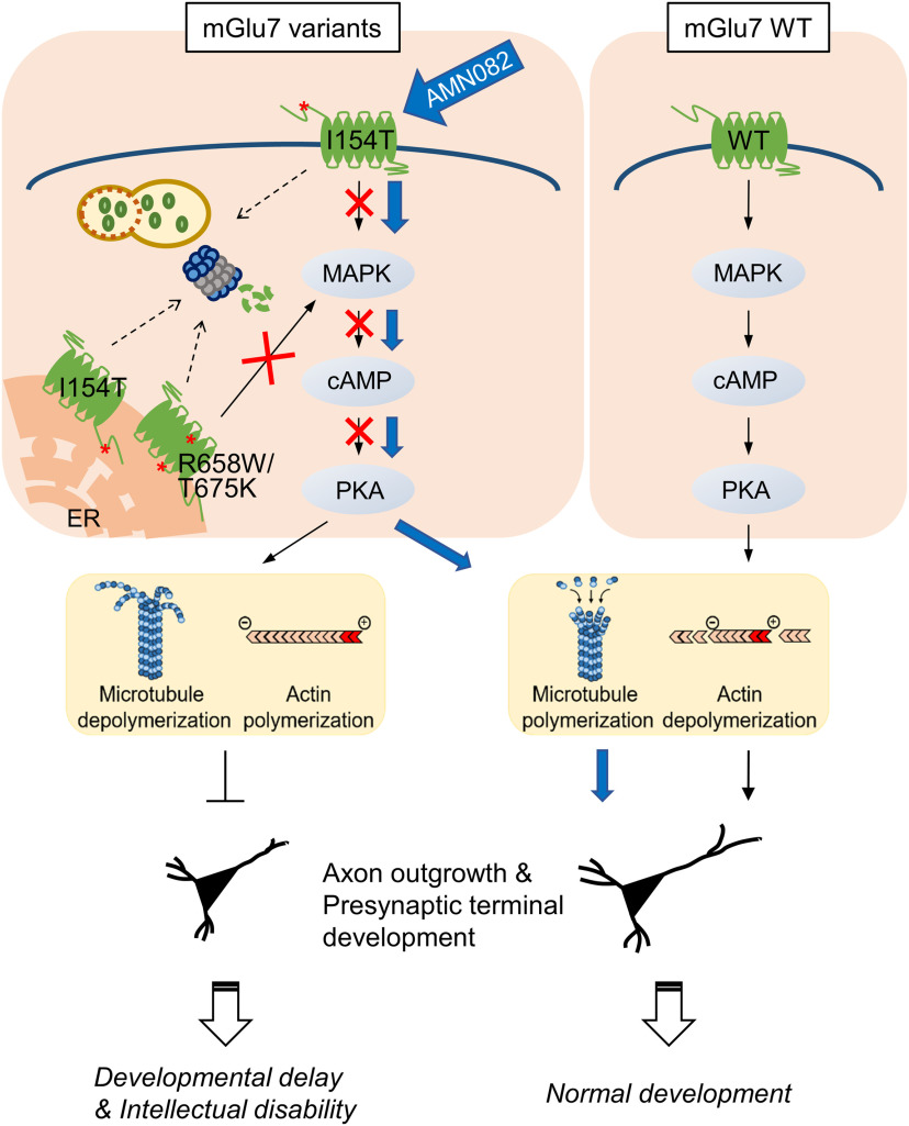 Figure 10.