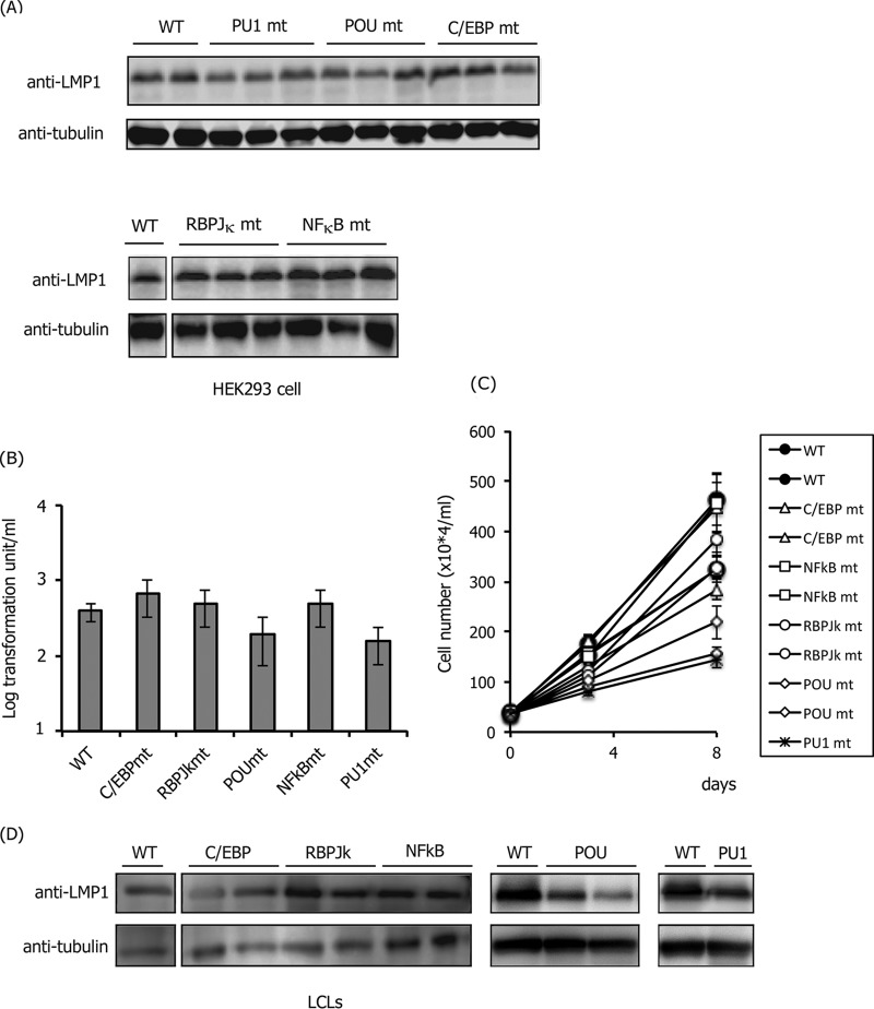 FIG 2