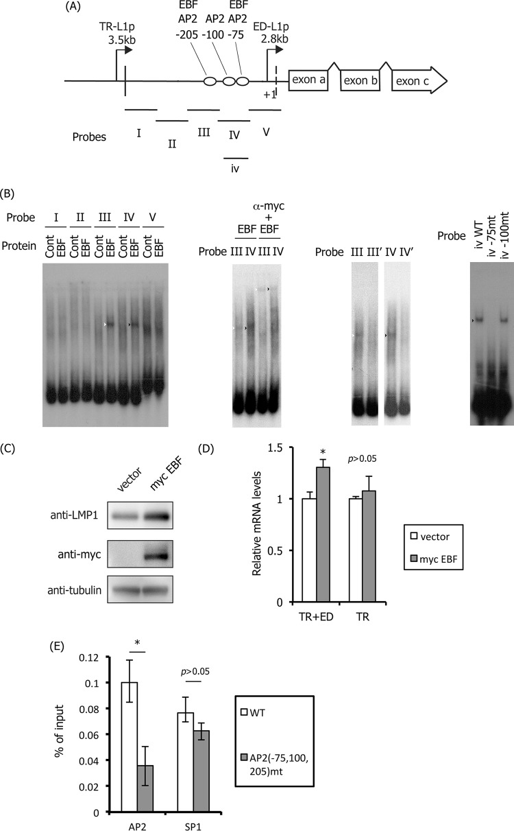 FIG 10