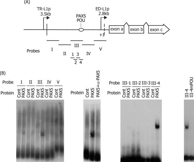 FIG 3