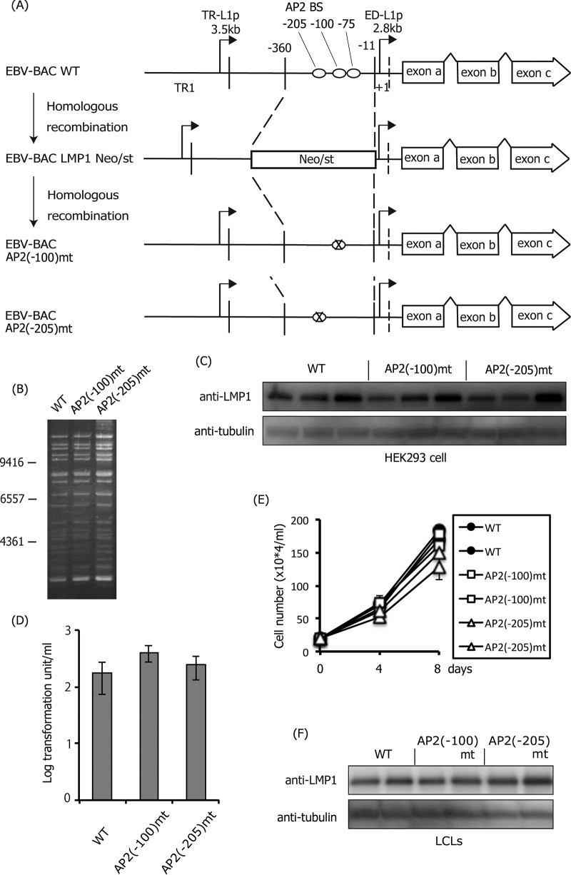 FIG 9