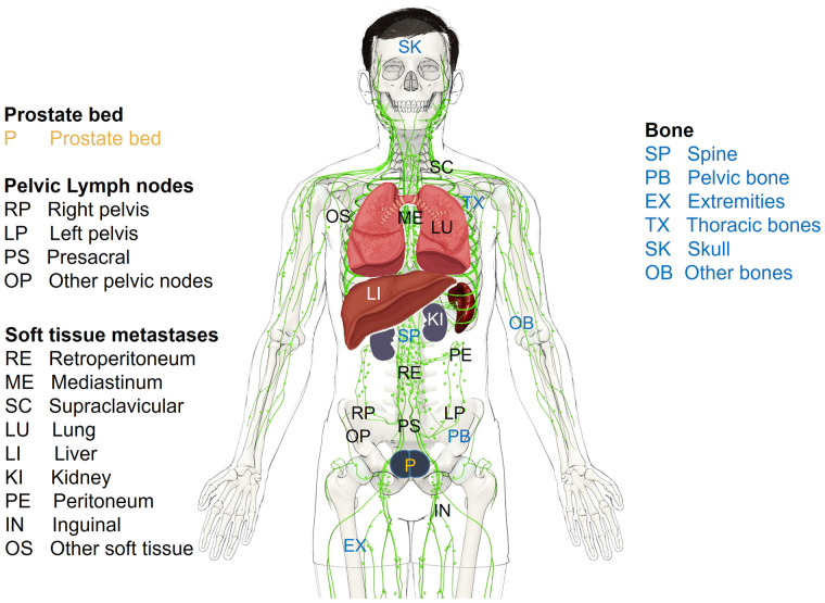 FIGURE 1.