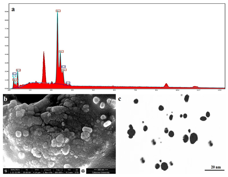 Figure 6