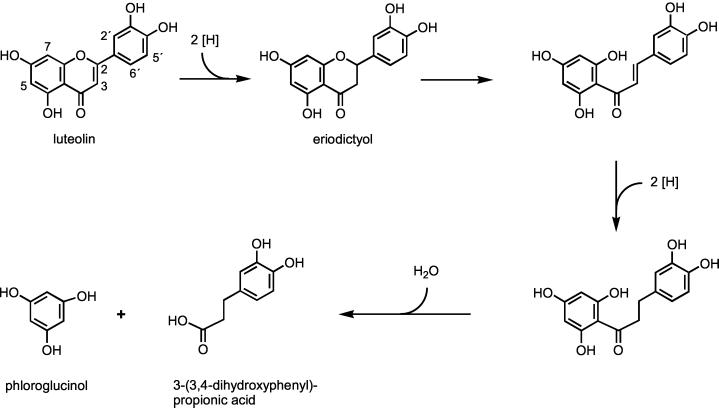 FIG. 9